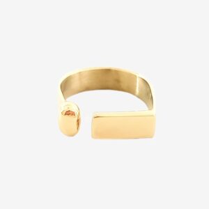 Anillo Geo
