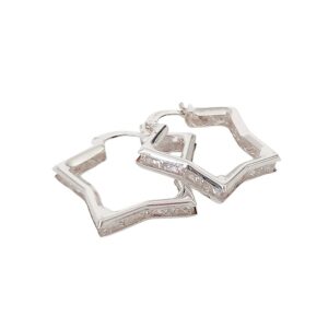 Argollas Star Shine Gde. - Plata